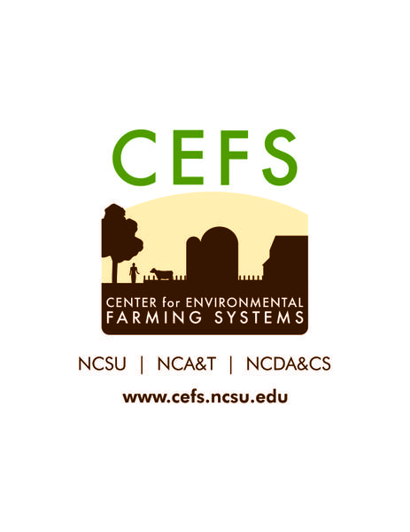 CEFS logo.